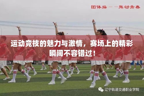 運動競技的魅力與激情，賽場上的精彩瞬間不容錯過！
