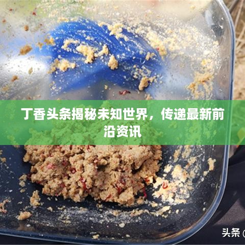 丁香頭條揭秘未知世界，傳遞最新前沿資訊