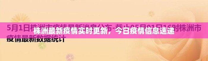 株洲最新疫情實時更新，今日疫情信息速遞