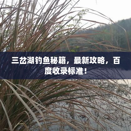 三岔湖釣魚秘籍，最新攻略，百度收錄標準！