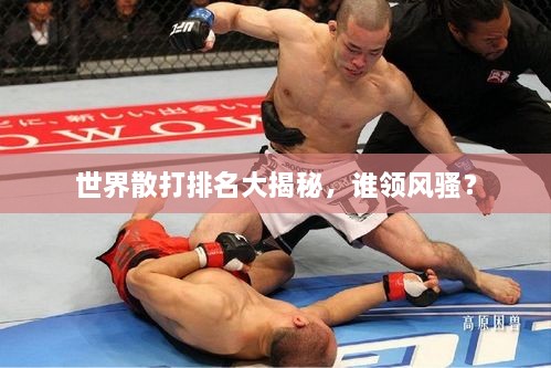 世界散打排名大揭秘，誰領(lǐng)風(fēng)騷？