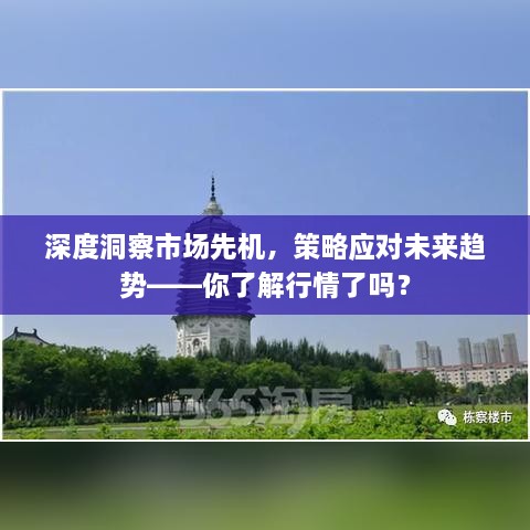 深度洞察市場先機，策略應(yīng)對未來趨勢——你了解行情了嗎？