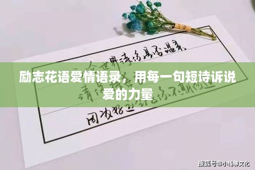 勵志花語愛情語錄，用每一句短詩訴說愛的力量
