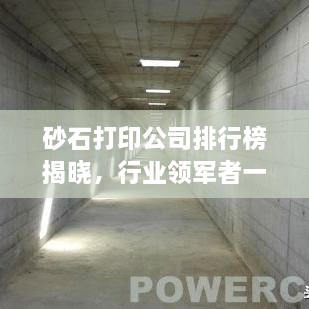 砂石打印公司排行榜揭曉，行業(yè)領(lǐng)軍者一覽