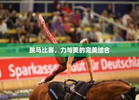 跳馬比賽，力與美的完美結(jié)合