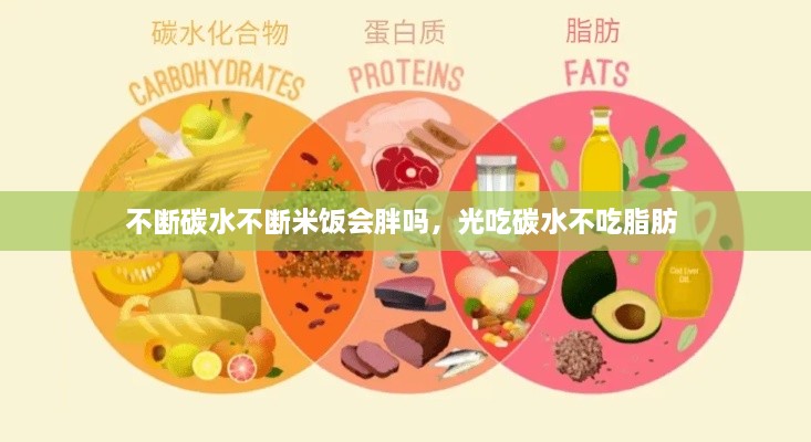 不斷碳水不斷米飯會(huì)胖嗎，光吃碳水不吃脂肪 
