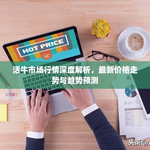 活牛市場(chǎng)行情深度解析，最新價(jià)格走勢(shì)與趨勢(shì)預(yù)測(cè)