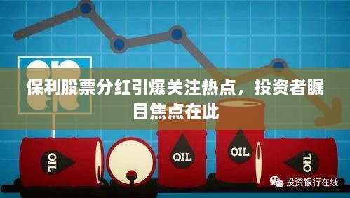 保利股票分紅引爆關(guān)注熱點(diǎn)，投資者矚目焦點(diǎn)在此