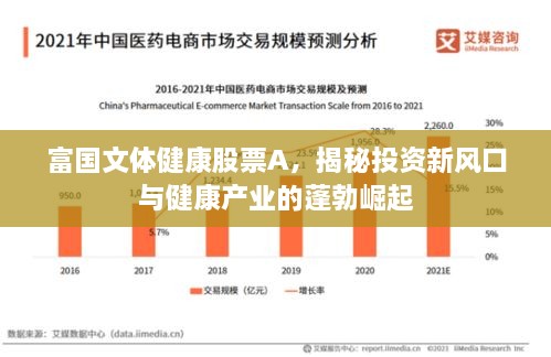 富國文體健康股票A，揭秘投資新風(fēng)口與健康產(chǎn)業(yè)的蓬勃崛起