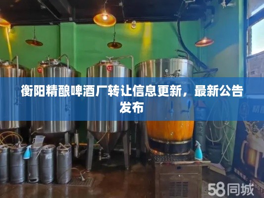 衡陽精釀啤酒廠轉(zhuǎn)讓信息更新，最新公告發(fā)布