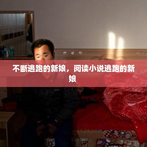 不斷逃跑的新娘，閱讀小說逃跑的新娘 