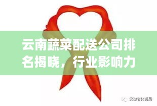 云南蔬菜配送公司排名揭曉，行業(yè)影響力大揭秘！