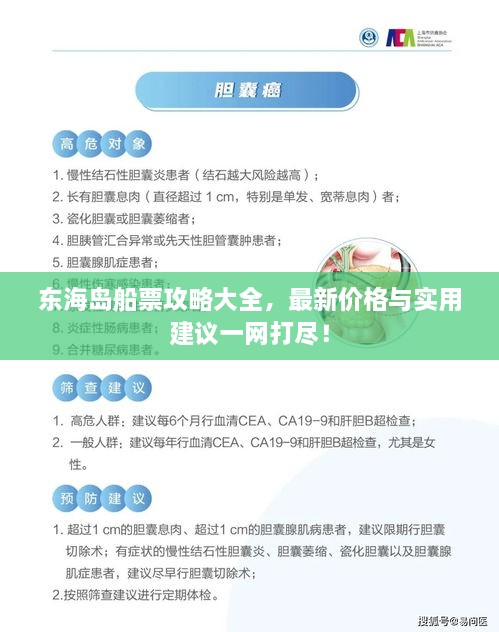 東海島船票攻略大全，最新價格與實用建議一網(wǎng)打盡！