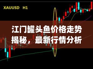 江門罐頭魚價格走勢揭秘，最新行情分析