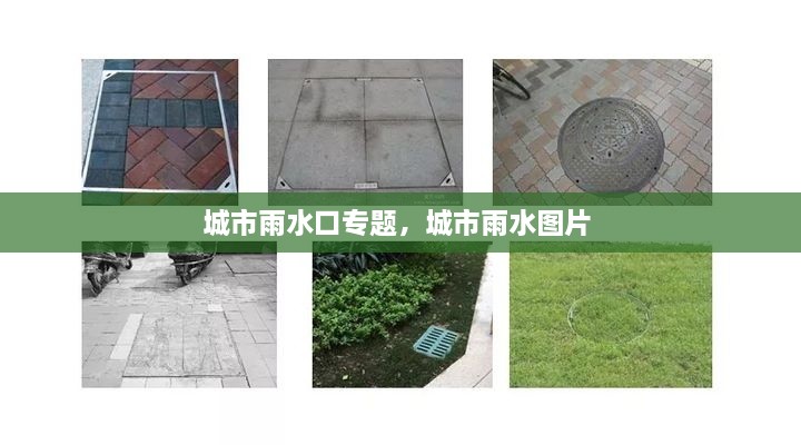 城市雨水口專題，城市雨水圖片 