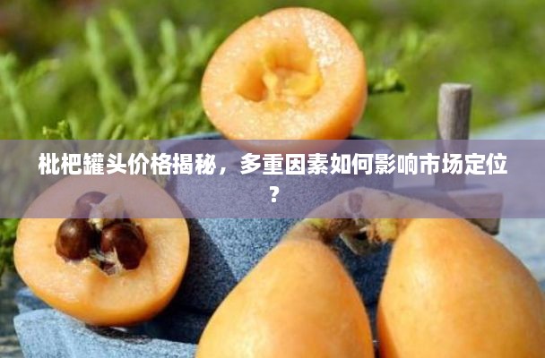 枇杷罐頭價格揭秘，多重因素如何影響市場定位？
