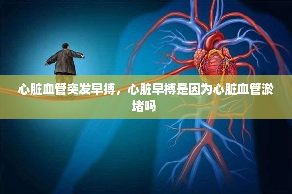 心臟血管突發(fā)早搏，心臟早搏是因為心臟血管淤堵嗎 