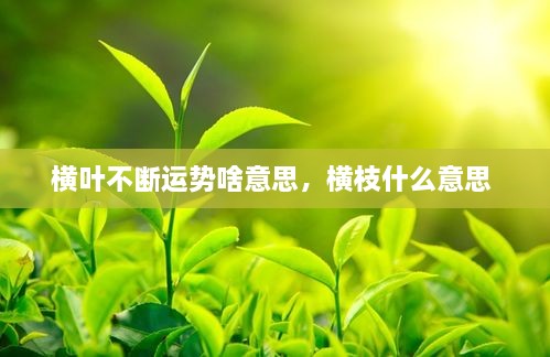 橫葉不斷運(yùn)勢啥意思，橫枝什么意思 