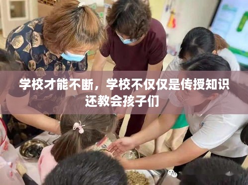 學(xué)校才能不斷，學(xué)校不僅僅是傳授知識還教會(huì)孩子們 