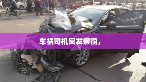 車禍司機突發(fā)癲癇， 