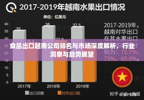 食品出口越南公司排名與市場深度解析，行業(yè)洞察與趨勢展望