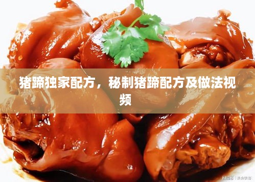 豬蹄獨(dú)家配方，秘制豬蹄配方及做法視頻 
