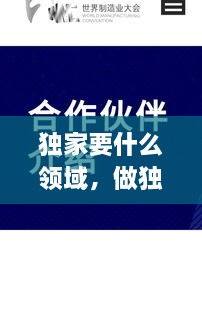 獨家要什么領(lǐng)域，做獨家代理有什么要求 