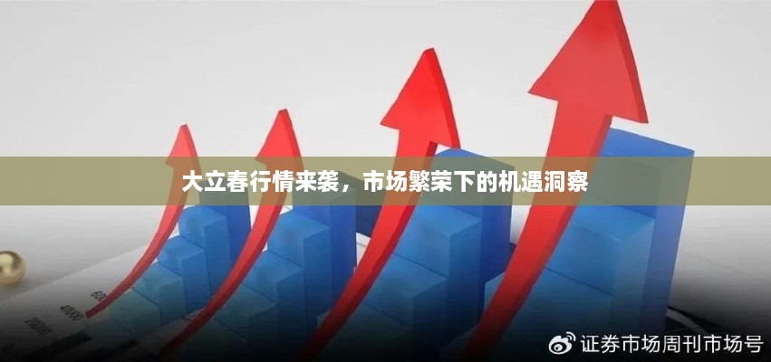 大立春行情來襲，市場繁榮下的機(jī)遇洞察