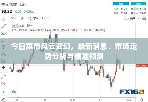 今日菜市風(fēng)云變幻，最新消息、市場(chǎng)走勢(shì)分析與精準(zhǔn)預(yù)測(cè)