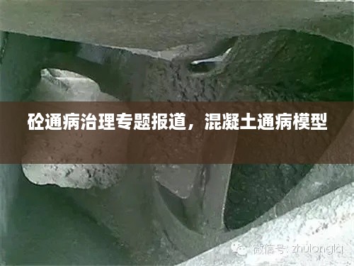 砼通病治理專題報(bào)道，混凝土通病模型 