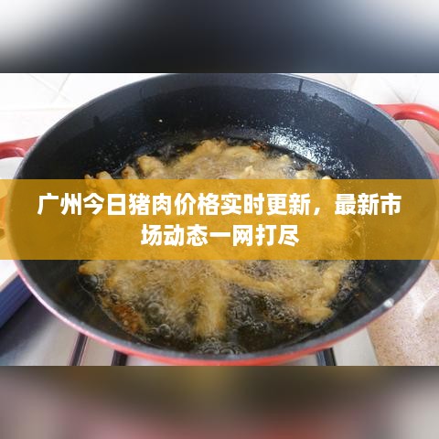 廣州今日豬肉價格實(shí)時更新，最新市場動態(tài)一網(wǎng)打盡