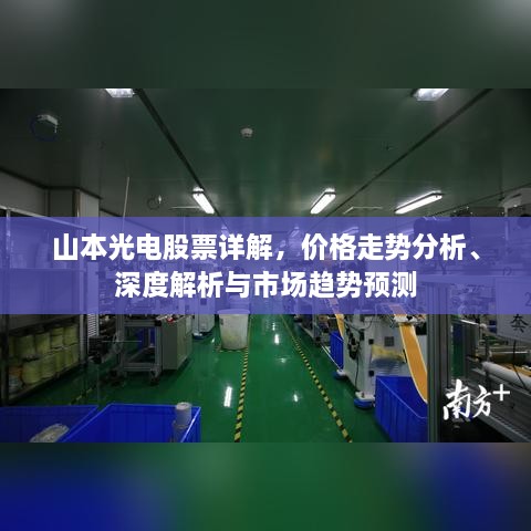 山本光電股票詳解，價格走勢分析、深度解析與市場趨勢預(yù)測