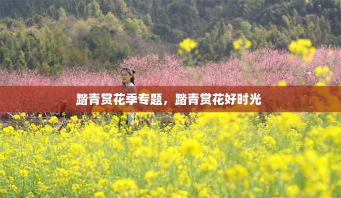 踏青賞花季專題，踏青賞花好時光 