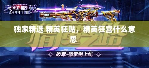獨家精選 精英狂貼，精英狂喜什么意思 