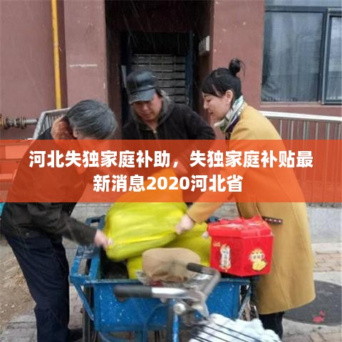 河北失獨(dú)家庭補(bǔ)助，失獨(dú)家庭補(bǔ)貼最新消息2020河北省 
