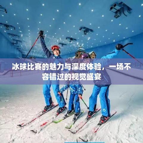 冰球比賽的魅力與深度體驗(yàn)，一場不容錯(cuò)過的視覺盛宴