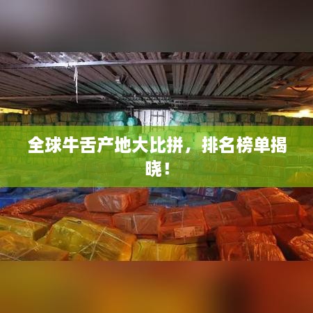 第10頁