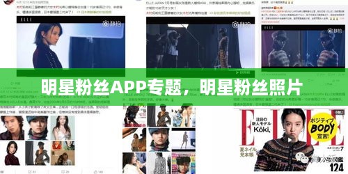 明星粉絲APP專題，明星粉絲照片 