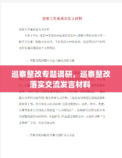 巡察整改專題調(diào)研，巡察整改落實交流發(fā)言材料 