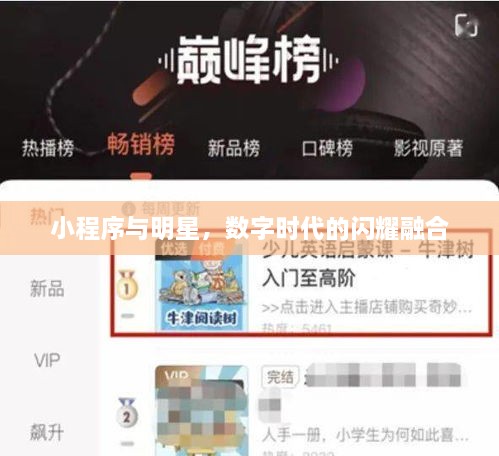 小程序與明星，數(shù)字時(shí)代的閃耀融合