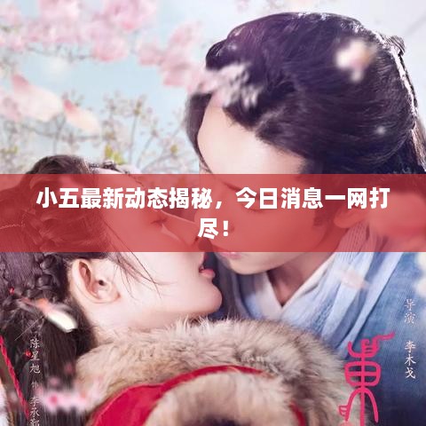 小五最新動(dòng)態(tài)揭秘，今日消息一網(wǎng)打盡！