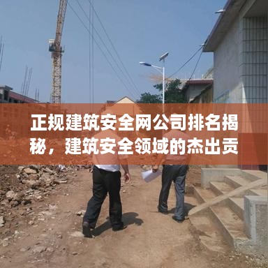 正規(guī)建筑安全網(wǎng)公司排名揭秘，建筑安全領(lǐng)域的杰出貢獻(xiàn)者