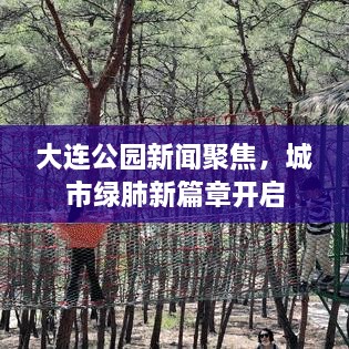 大連公園新聞聚焦，城市綠肺新篇章開(kāi)啟