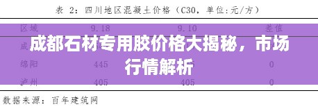 成都石材專用膠價(jià)格大揭秘，市場行情解析