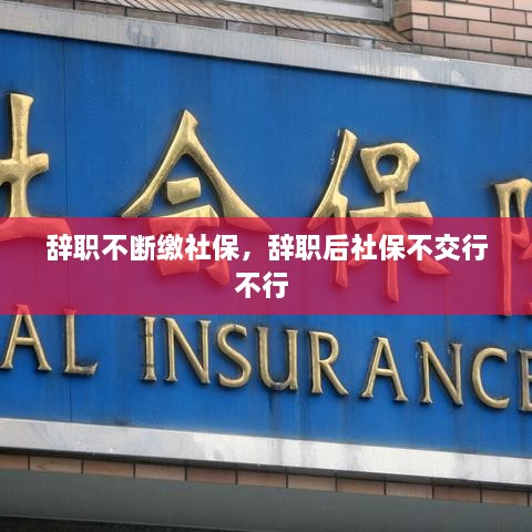 辭職不斷繳社保，辭職后社保不交行不行 
