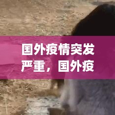 國外疫情突發(fā)嚴(yán)重，國外疫情形勢(shì)嚴(yán)峻 