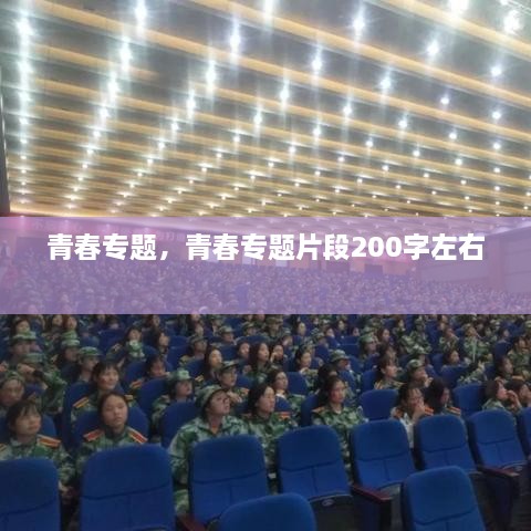 青春專題，青春專題片段200字左右 