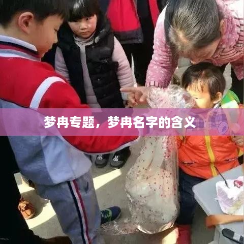 夢冉專題，夢冉名字的含義 