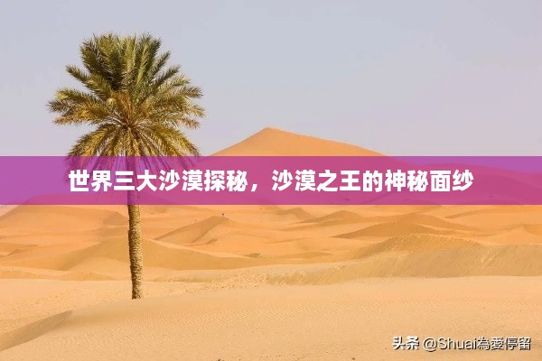 2025年4月7日