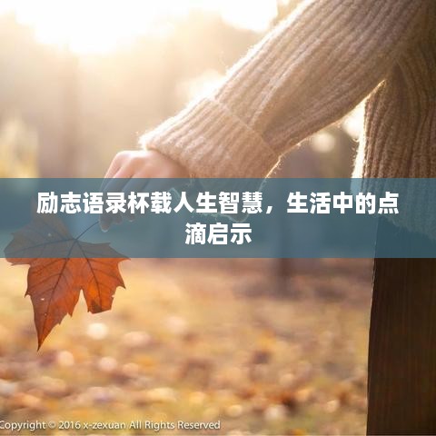 勵志語錄杯載人生智慧，生活中的點滴啟示